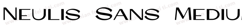 Neulis Sans Medium all caps字体转换